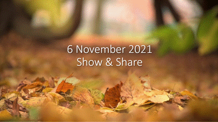 2021 Nov Show & Share